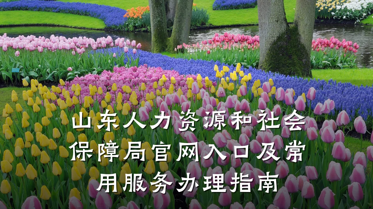 山东人力资源和社会保障局官网入口及常用服务办理指南