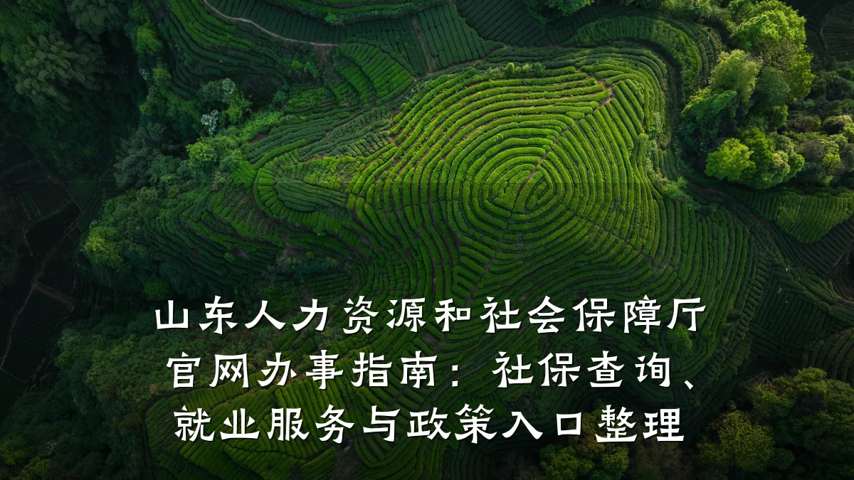 山东人力资源和社会保障厅官网办事指南：社保查询、就业服务与政策入口整理