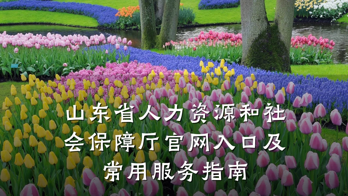 山东省人力资源和社会保障厅官网入口及常用服务指南