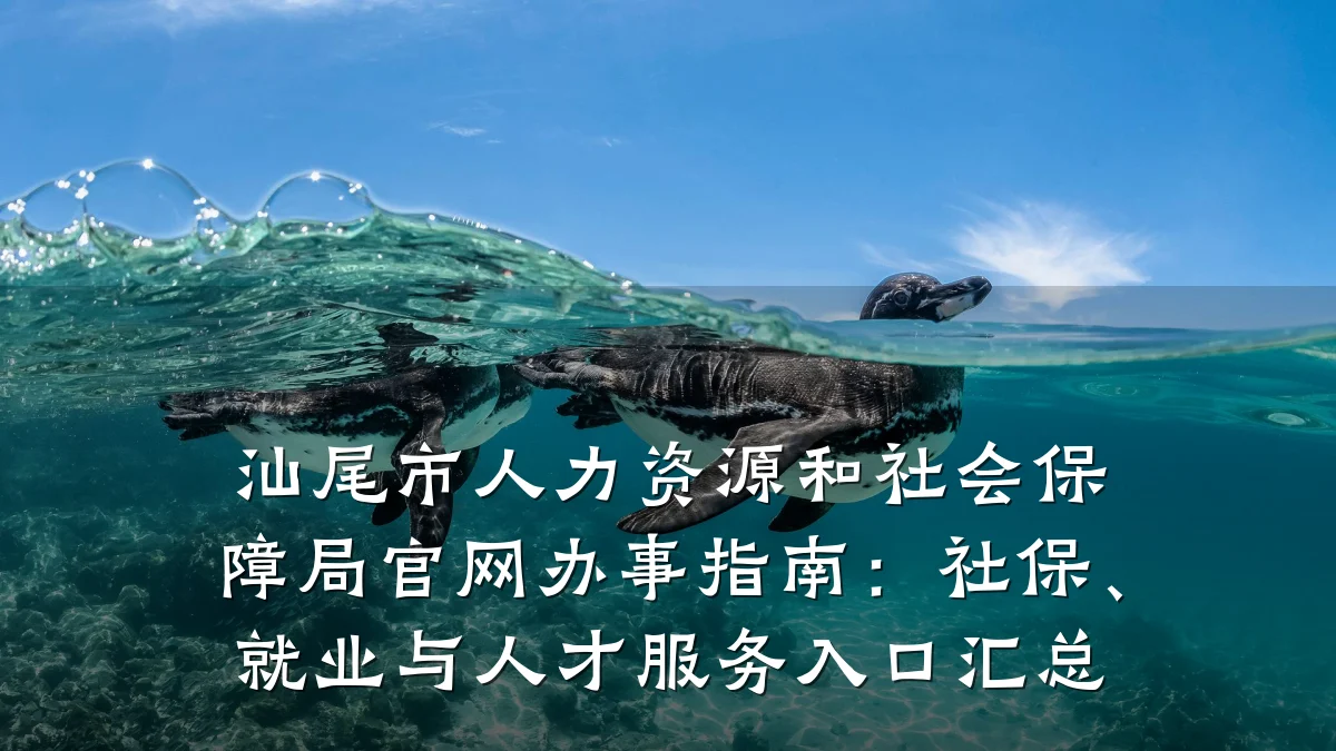 汕尾市人力资源和社会保障局官网办事指南：社保、就业与人才服务入口汇总