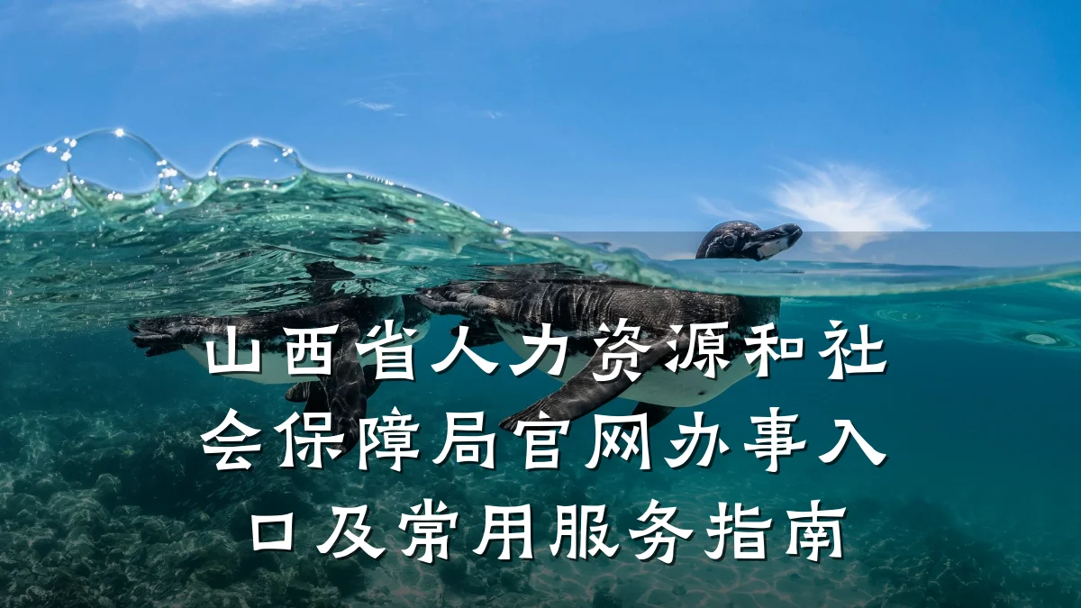山西省人力资源和社会保障局官网办事入口及常用服务指南