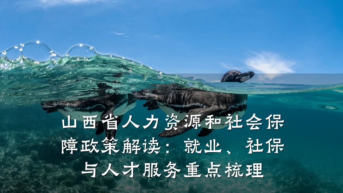山西省人力资源和社会保障政策解读：就业、社保与人才服务重点梳理