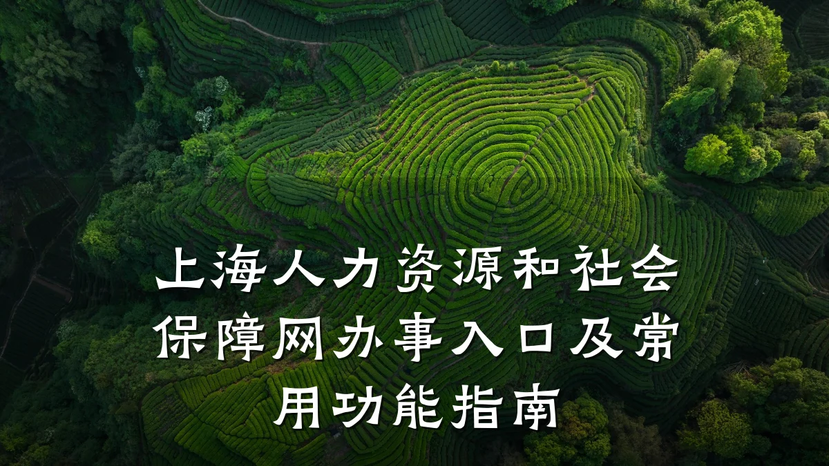 上海人力资源和社会保障网办事入口及常用功能指南