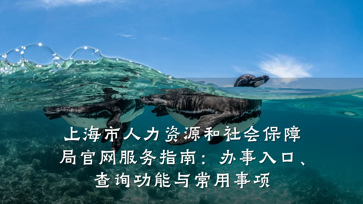 上海市人力资源和社会保障局官网服务指南：办事入口、查询功能与常用事项