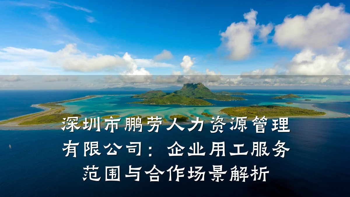 深圳市鹏劳人力资源管理有限公司：企业用工服务范围与合作场景解析