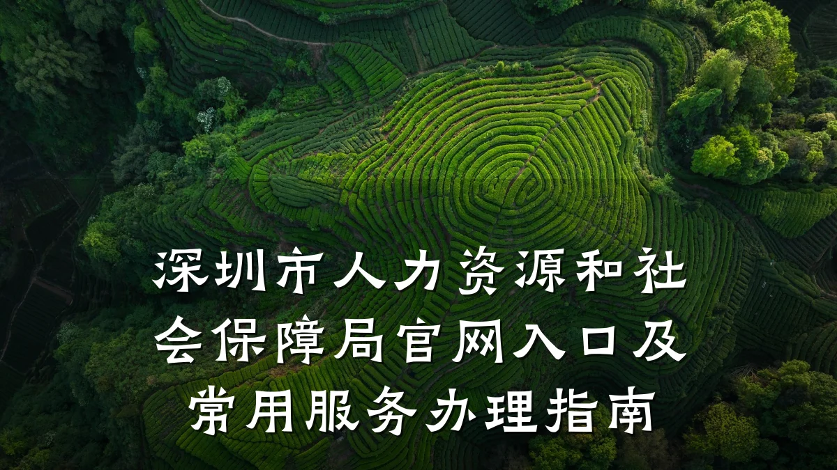 深圳市人力资源和社会保障局官网入口及常用服务办理指南