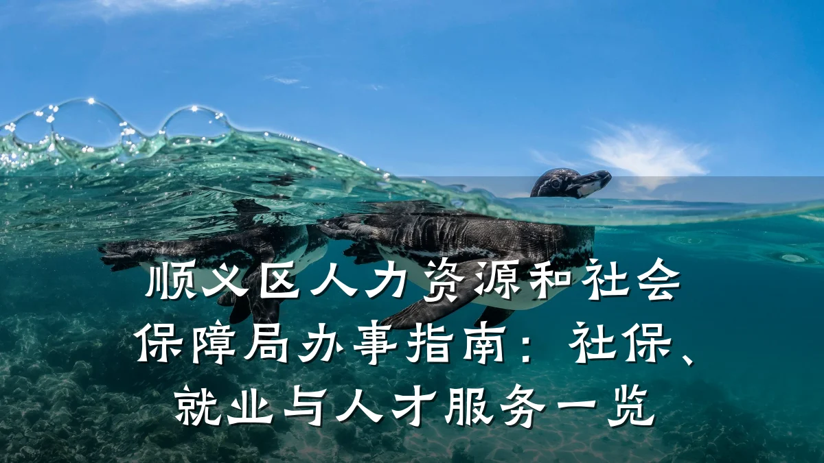 顺义区人力资源和社会保障局办事指南：社保、就业与人才服务一览