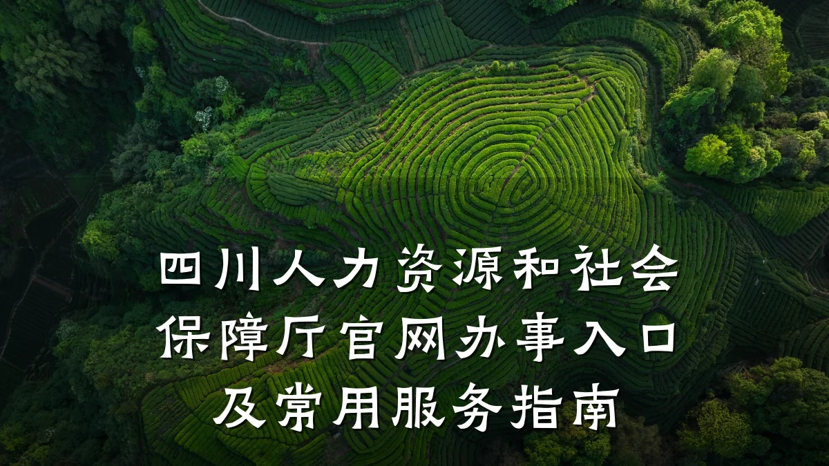 四川人力资源和社会保障厅官网办事入口及常用服务指南
