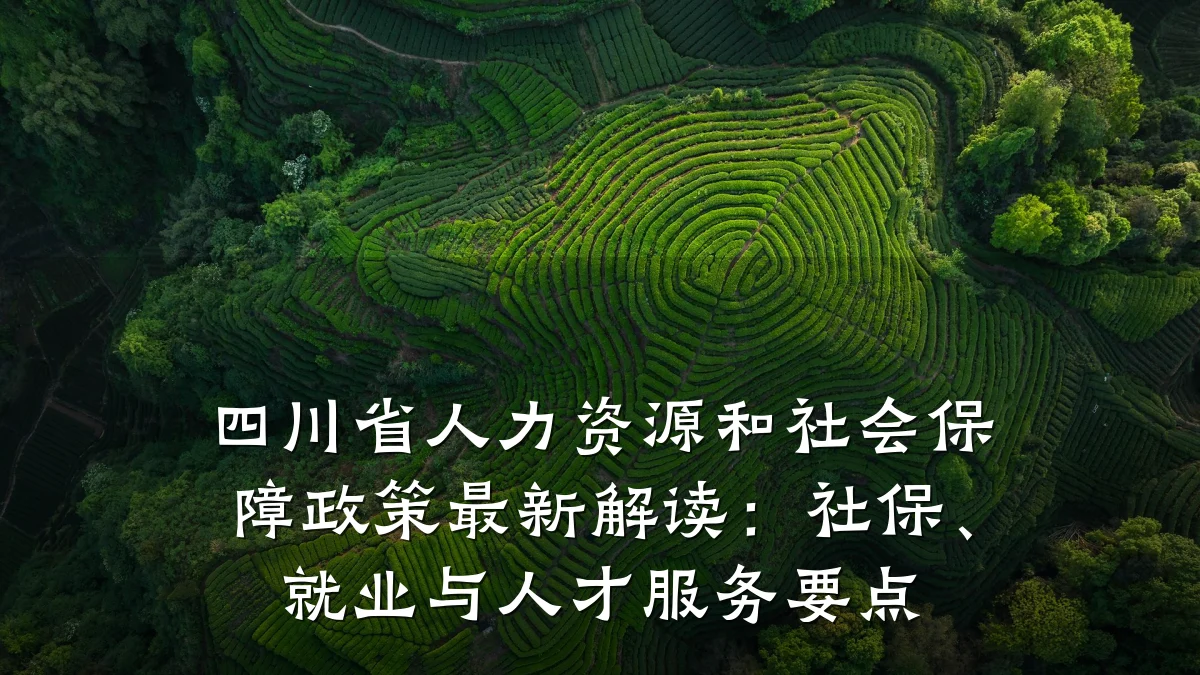 四川省人力资源和社会保障政策最新解读：社保、就业与人才服务要点