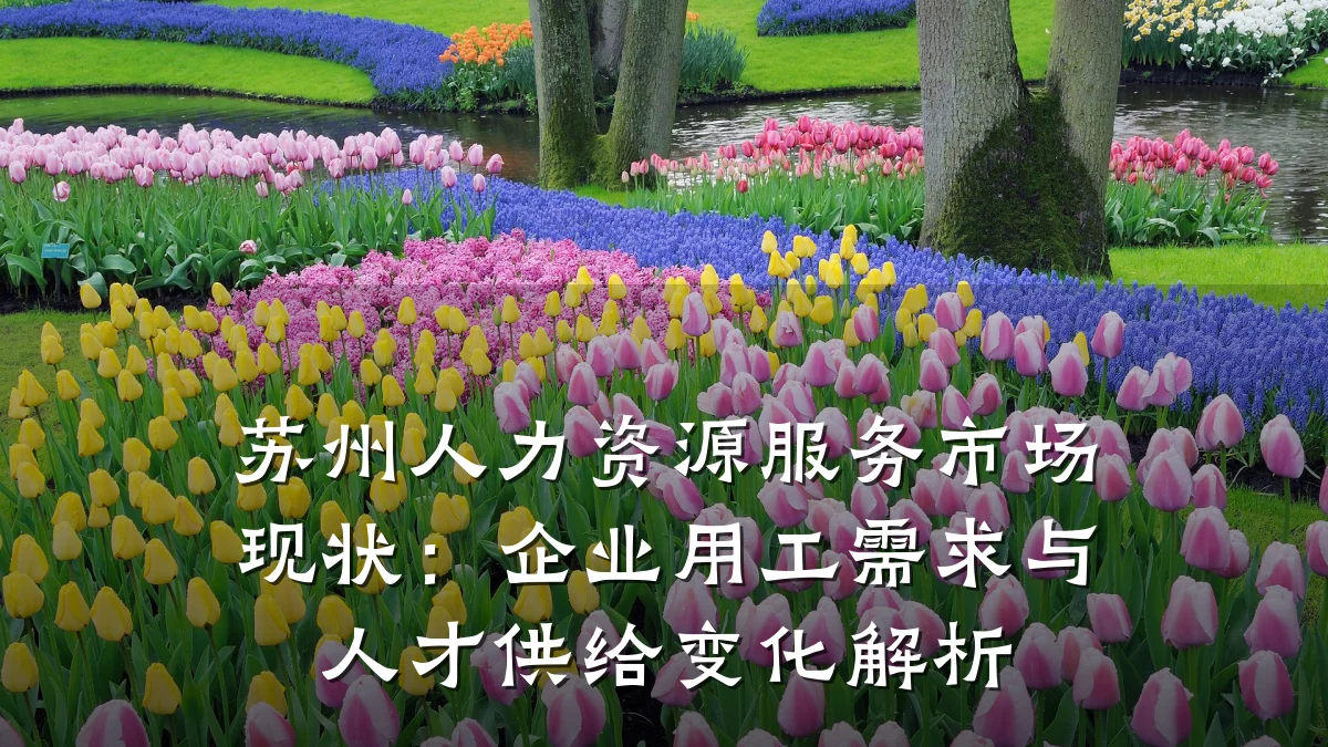 苏州人力资源服务市场现状：企业用工需求与人才供给变化解析