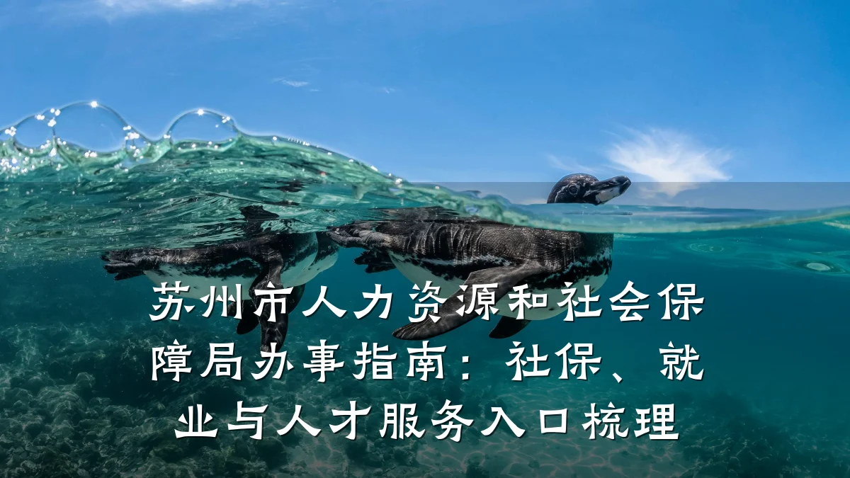 苏州市人力资源和社会保障局办事指南：社保、就业与人才服务入口梳理