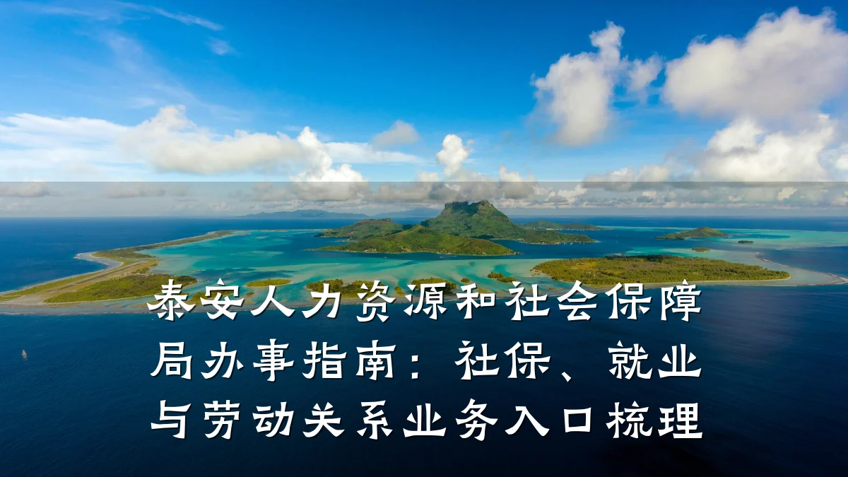 泰安人力资源和社会保障局办事指南:社保、就业与劳动关系业务入口梳理