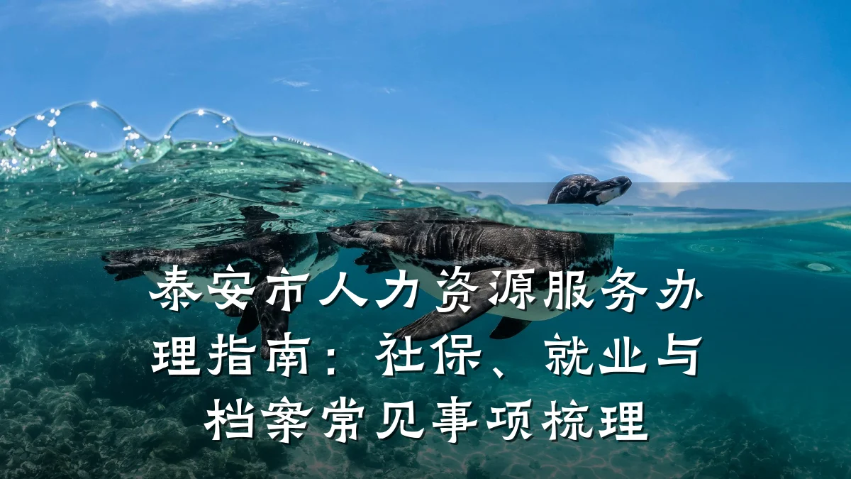 泰安市人力资源服务办理指南：社保、就业与档案常见事项梳理