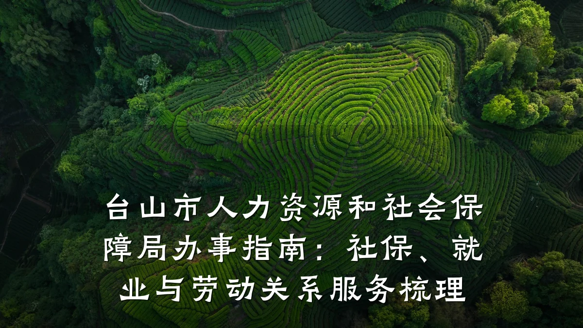 台山市人力资源和社会保障局办事指南:社保、就业与劳动关系服务梳理
