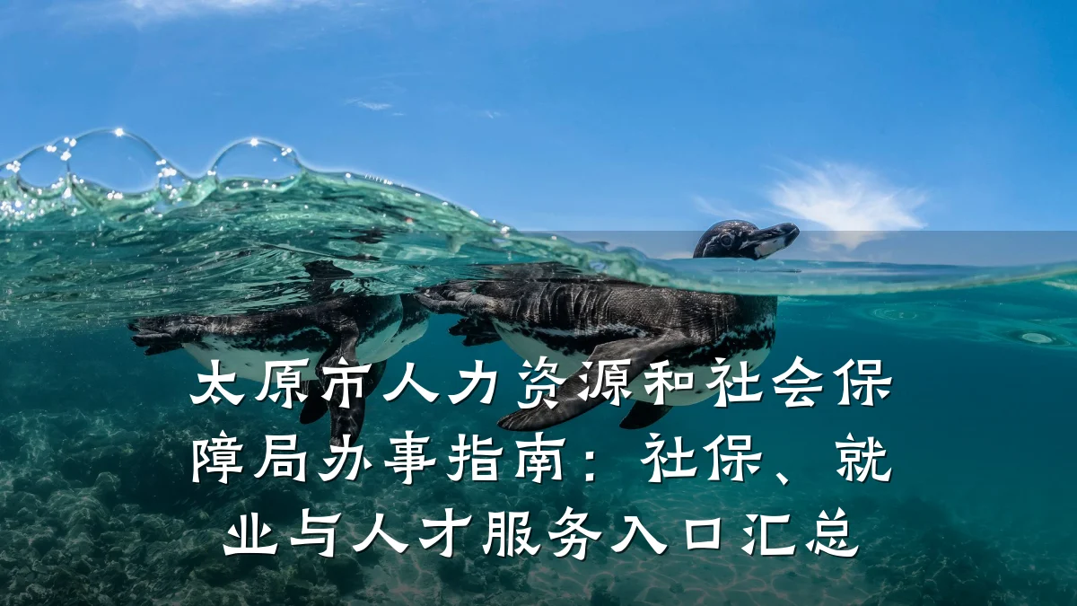 太原市人力资源和社会保障局办事指南:社保、就业与人才服务入口汇总