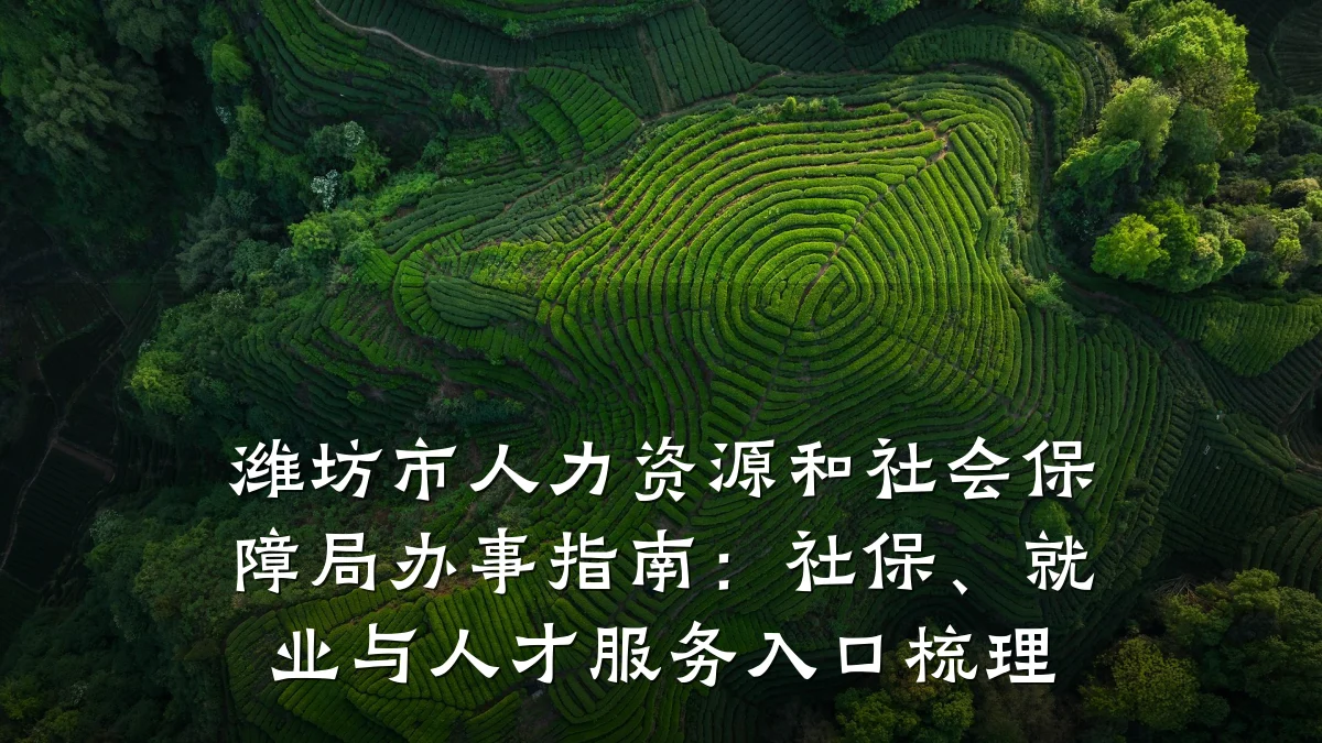 潍坊市人力资源和社会保障局办事指南:社保、就业与人才服务入口梳理