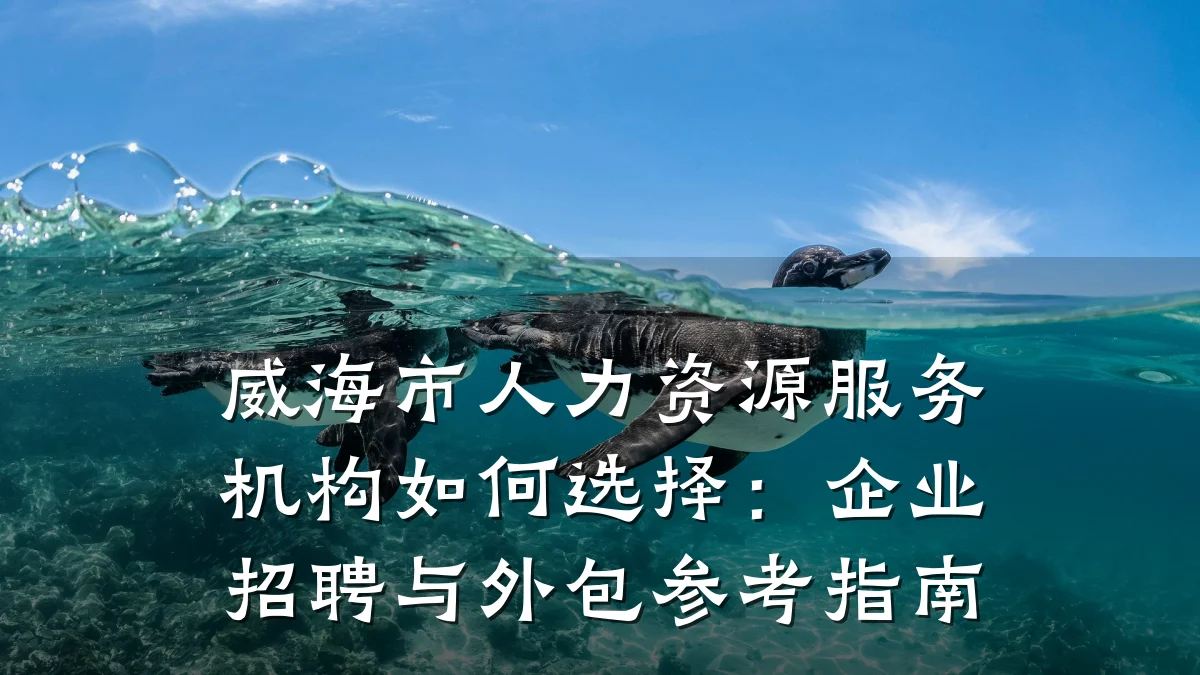 威海市人力资源服务机构如何选择:企业招聘与外包参考指南