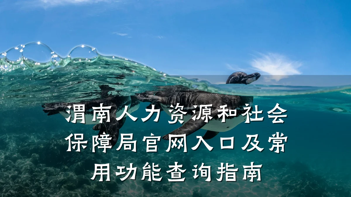 渭南人力资源和社会保障局官网入口及常用功能查询指南