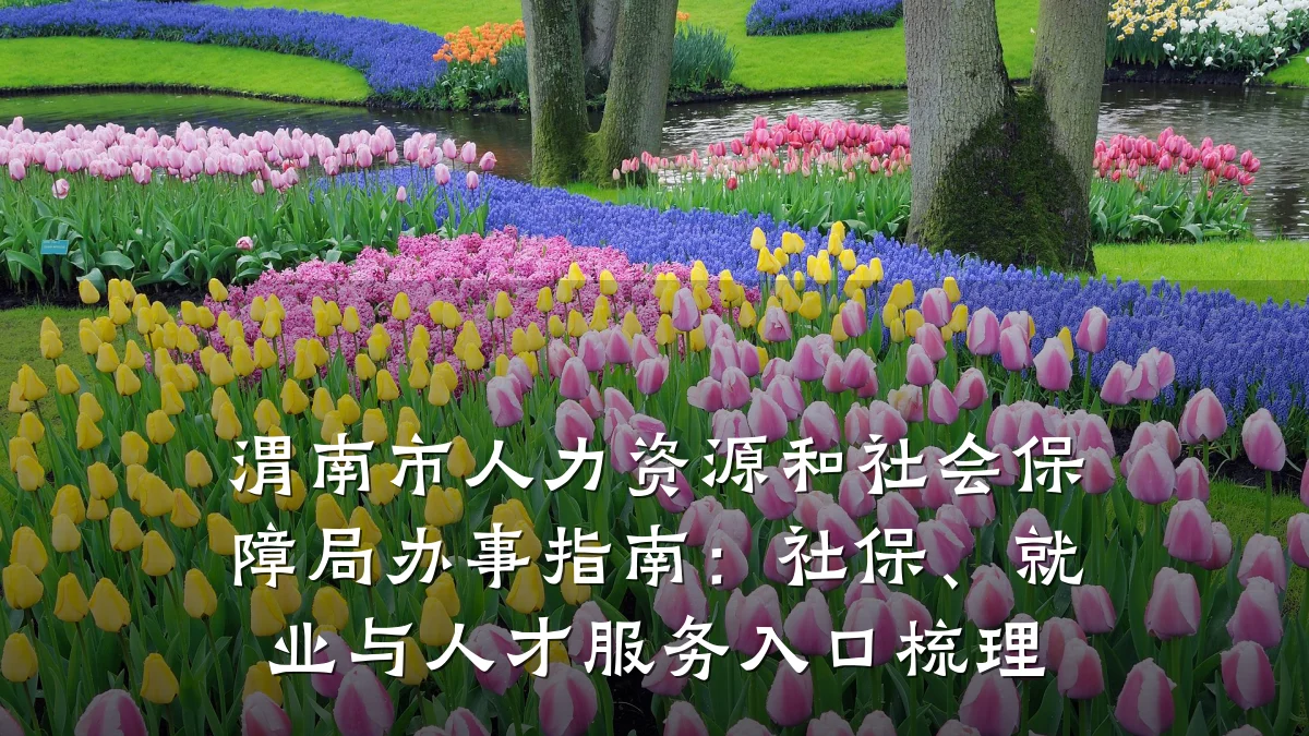 渭南市人力资源和社会保障局办事指南：社保、就业与人才服务入口梳理