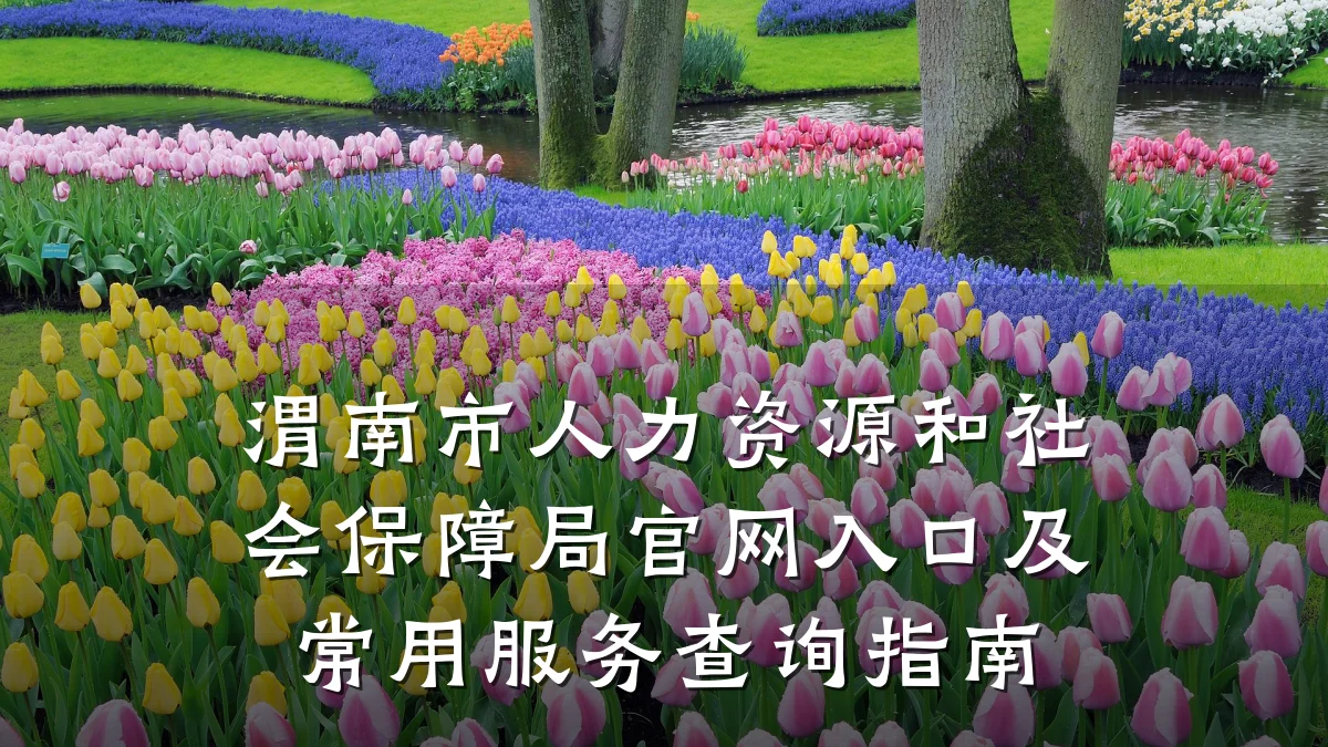 渭南市人力资源和社会保障局官网入口及常用服务查询指南