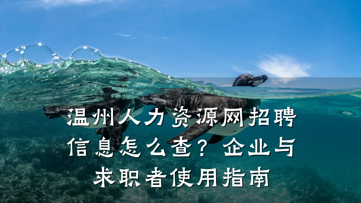 温州人力资源网招聘信息怎么查？企业与求职者使用指南