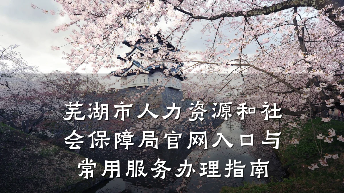 芜湖市人力资源和社会保障局官网入口与常用服务办理指南