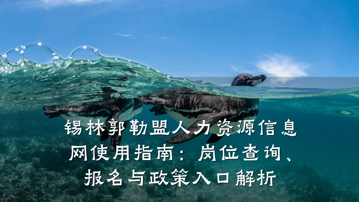 锡林郭勒盟人力资源信息网使用指南：岗位查询、报名与政策入口解析