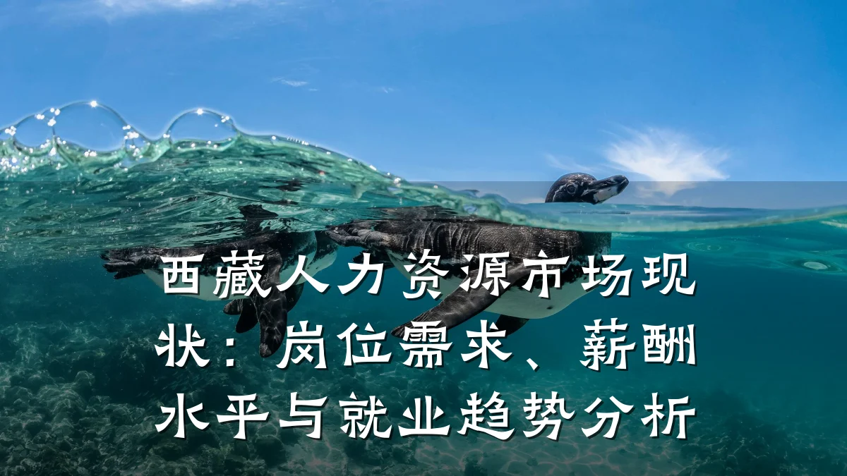 西藏人力资源市场现状：岗位需求、薪酬水平与就业趋势分析