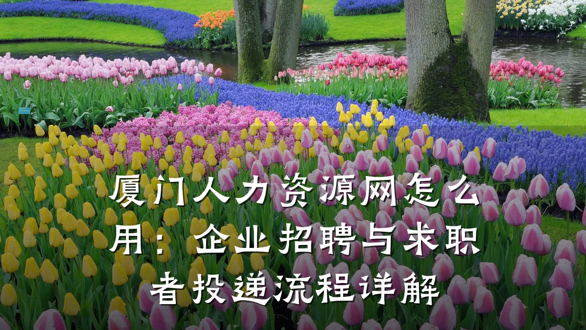 厦门人力资源网怎么用：企业招聘与求职者投递流程详解