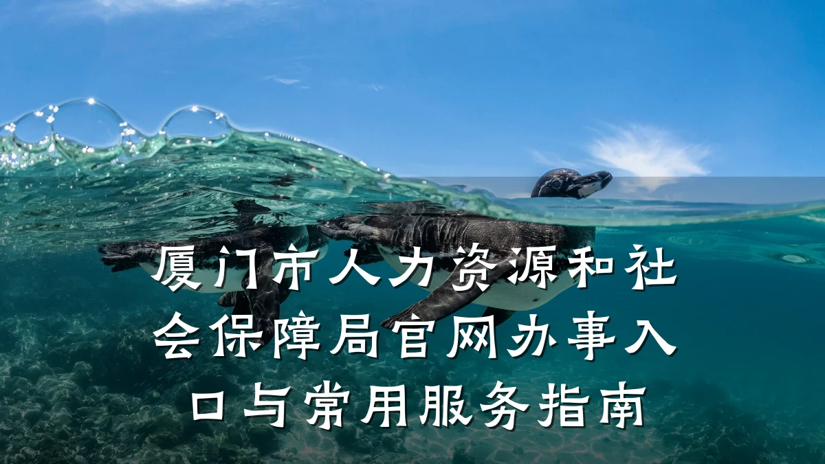 厦门市人力资源和社会保障局官网办事入口与常用服务指南