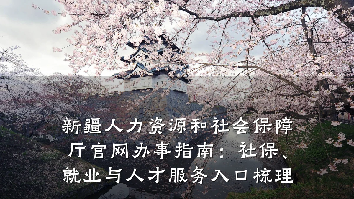新疆人力资源和社会保障厅官网办事指南:社保、就业与人才服务入口梳理