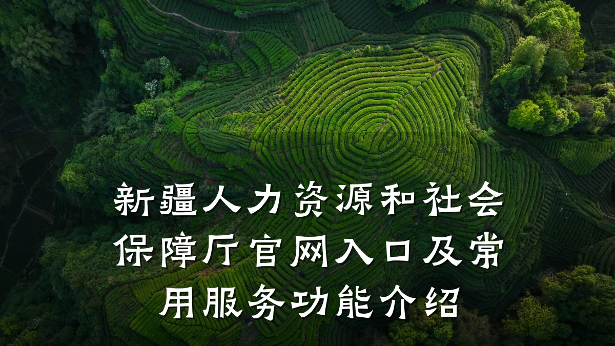 新疆人力资源和社会保障厅官网入口及常用服务功能介绍