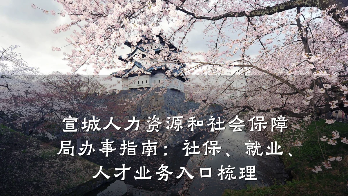 宣城人力资源和社会保障局办事指南：社保、就业、人才业务入口梳理