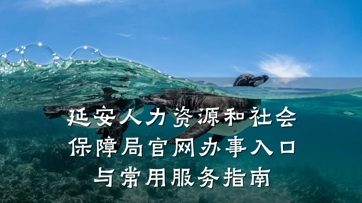 延安人力资源和社会保障局官网办事入口与常用服务指南