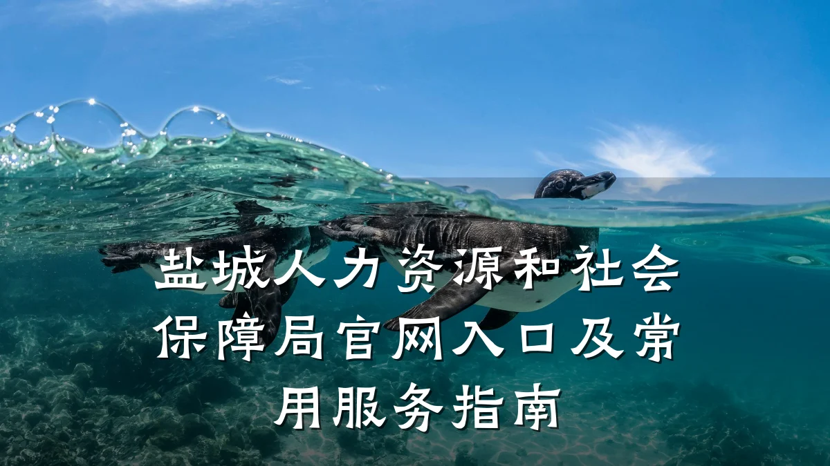 盐城人力资源和社会保障局官网入口及常用服务指南