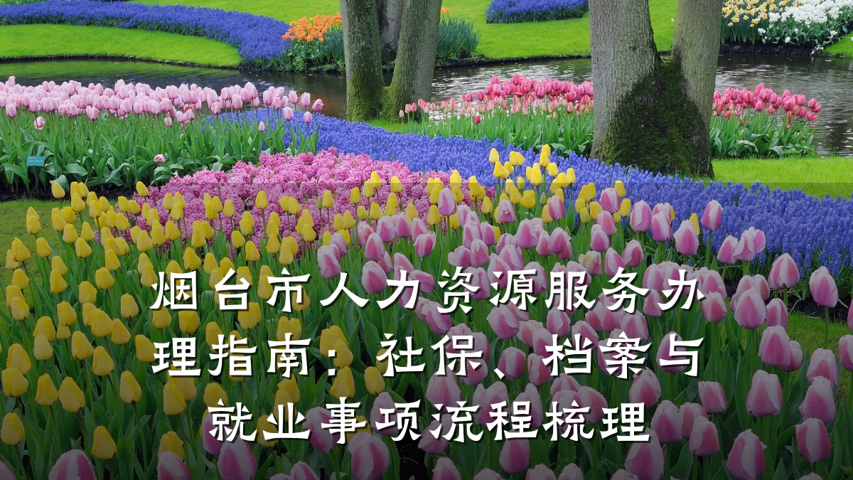 烟台市人力资源服务办理指南:社保、档案与就业事项流程梳理