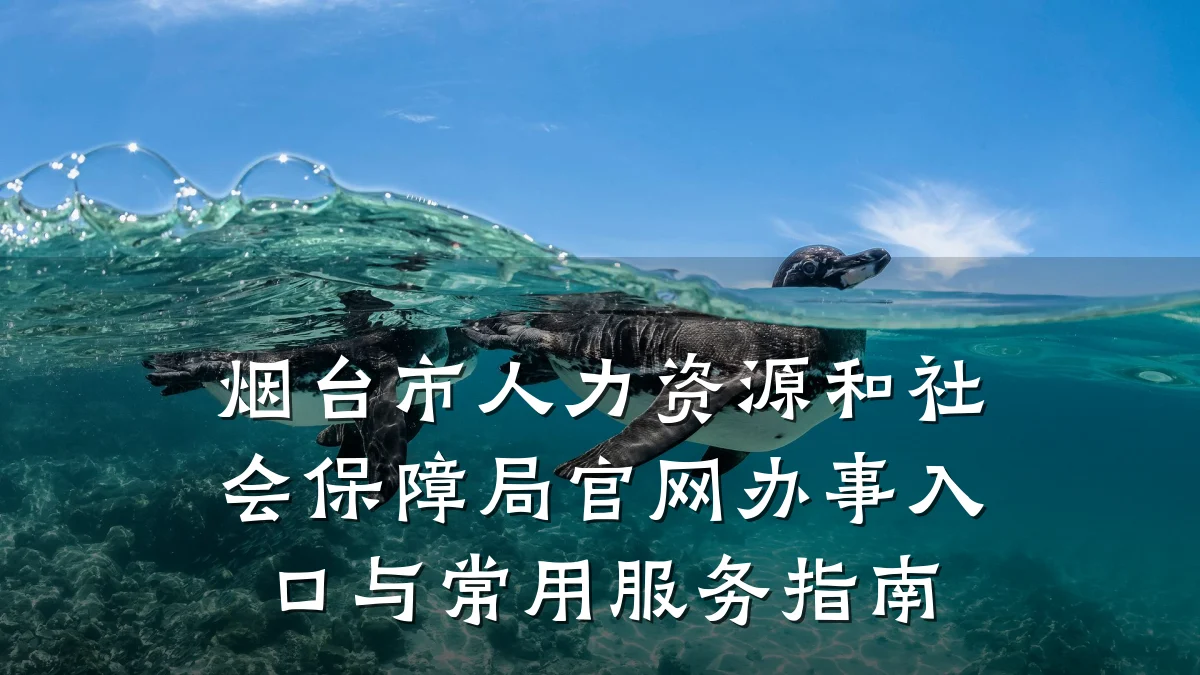 烟台市人力资源和社会保障局官网办事入口与常用服务指南