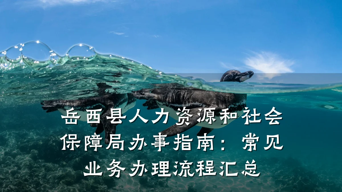 岳西县人力资源和社会保障局办事指南:常见业务办理流程汇总