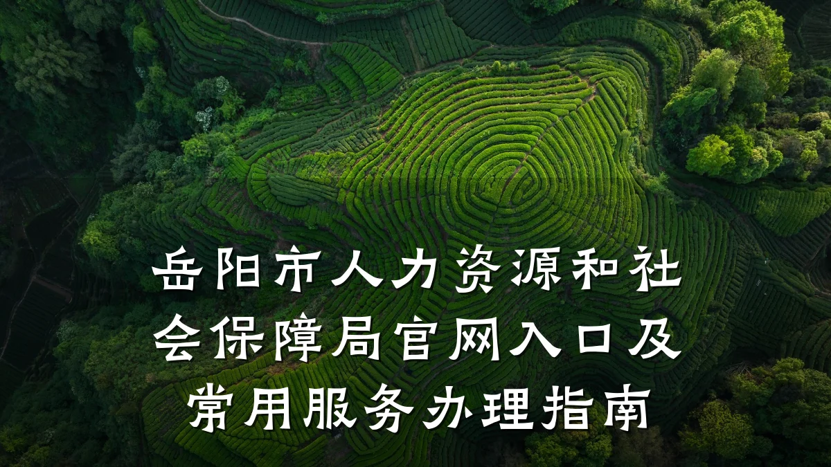 岳阳市人力资源和社会保障局官网入口及常用服务办理指南