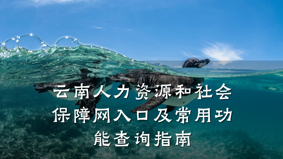 云南人力资源和社会保障网入口及常用功能查询指南
