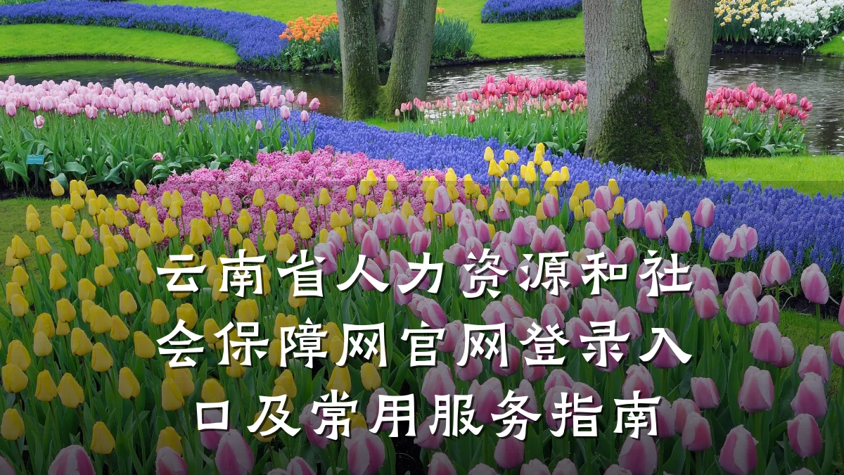 云南省人力资源和社会保障网官网登录入口及常用服务指南