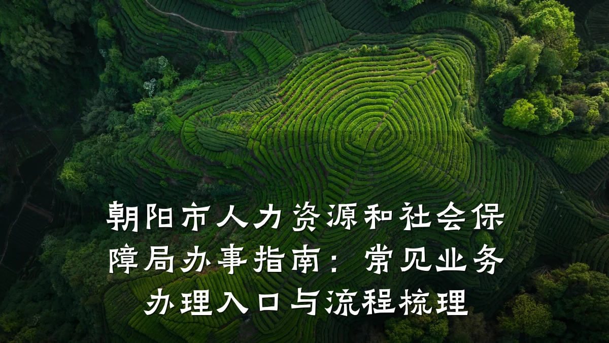 朝阳市人力资源和社会保障局办事指南:常见业务办理入口与流程梳理
