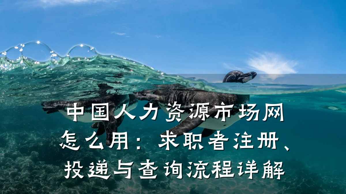 中国人力资源市场网怎么用：求职者注册、投递与查询流程详解