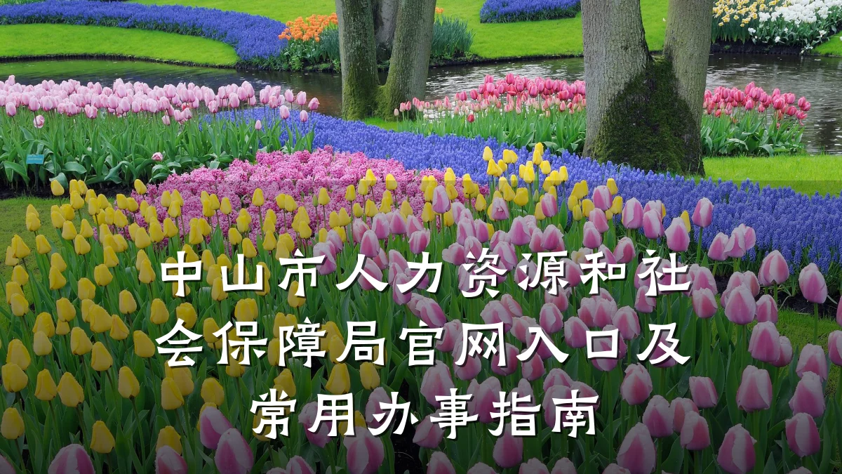 中山市人力资源和社会保障局官网入口及常用办事指南