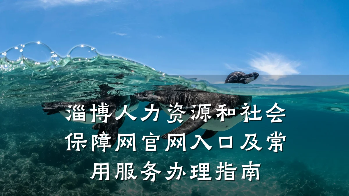 淄博人力资源和社会保障网官网入口及常用服务办理指南
