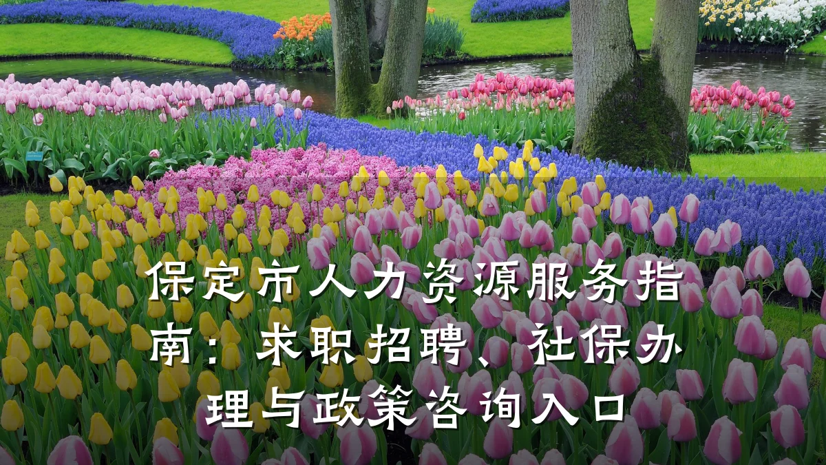保定市人力资源服务指南：求职招聘、社保办理与政策咨询入口