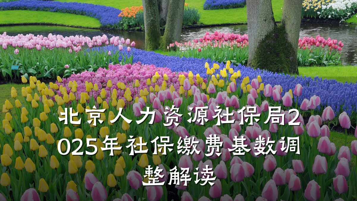 北京人力资源社保局2025年社保缴费基数调整解读