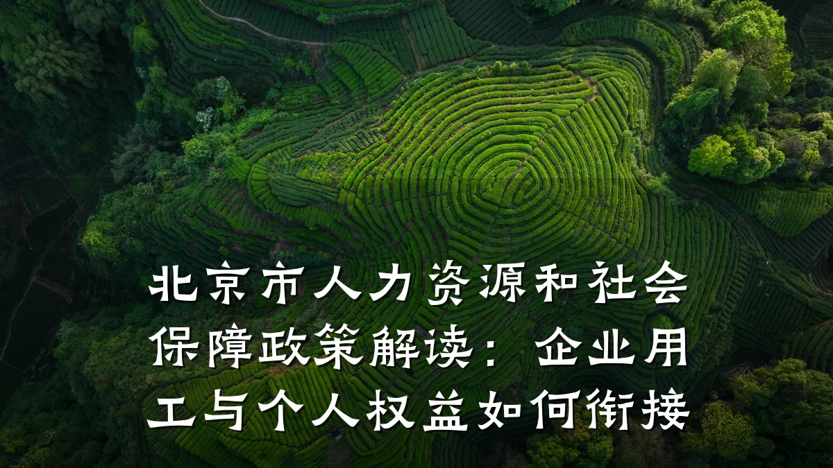 北京市人力资源和社会保障政策解读:企业用工与个人权益如何衔接