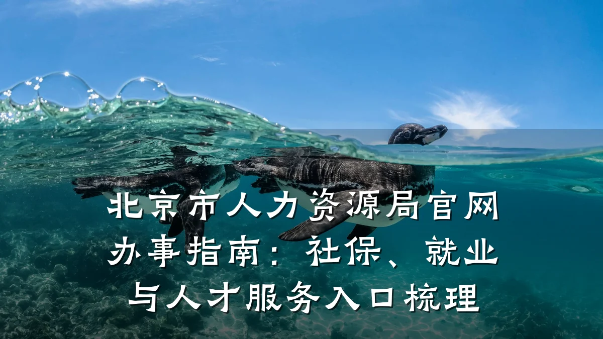 北京市人力资源局官网办事指南:社保、就业与人才服务入口梳理