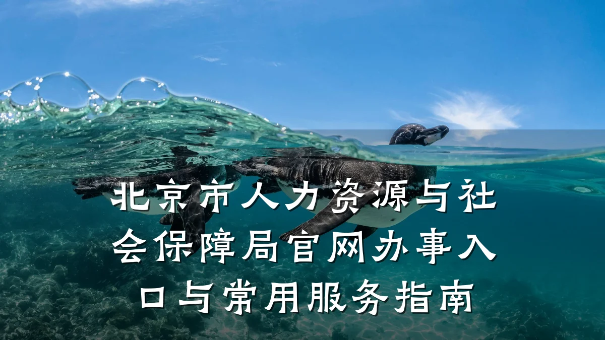 北京市人力资源与社会保障局官网办事入口与常用服务指南